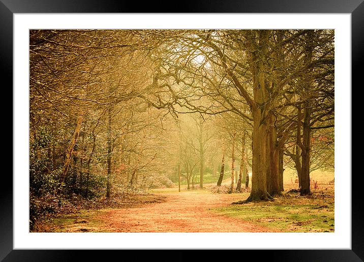  Langley Country Park. Framed Mounted Print by Peter Bunker