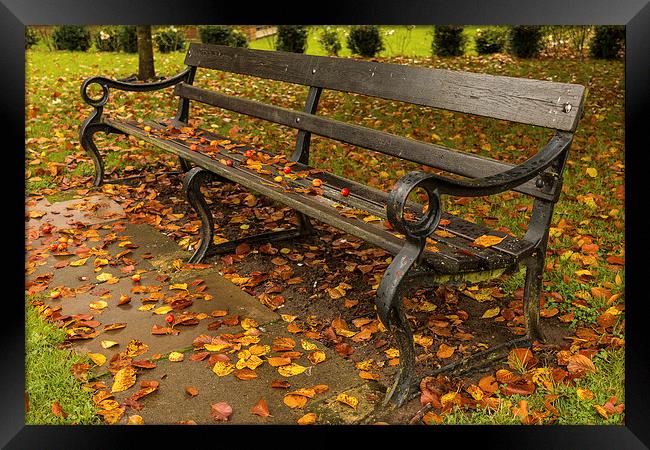  Autumn Bench. Framed Print by Peter Bunker
