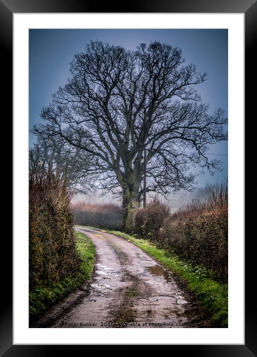 Country Lane Framed Mounted Print by Peter Bunker
