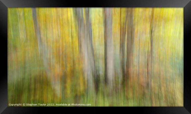 Autumn Motion Framed Print by Stephen Taylor