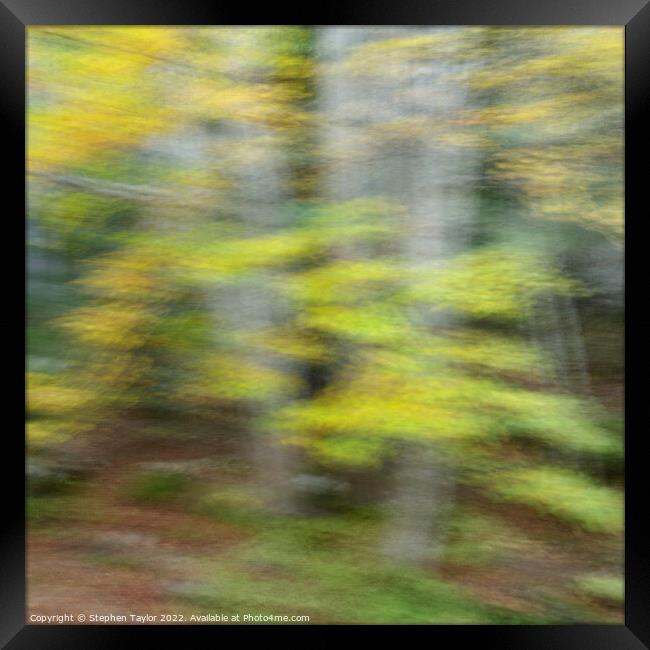 Autumn Motion Framed Print by Stephen Taylor