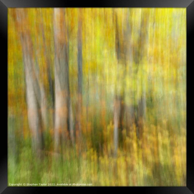 Autumn Motion Framed Print by Stephen Taylor