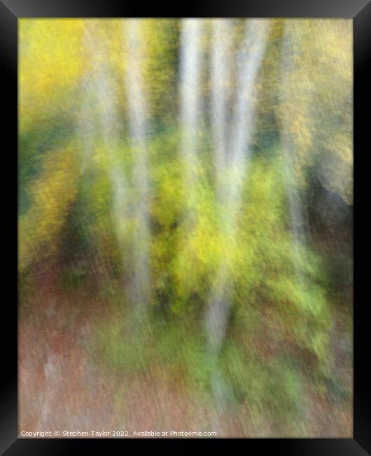 Autumn Motion Framed Print by Stephen Taylor