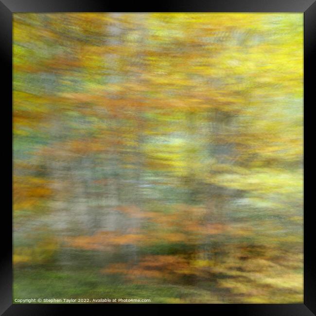 Autumn Motion Framed Print by Stephen Taylor