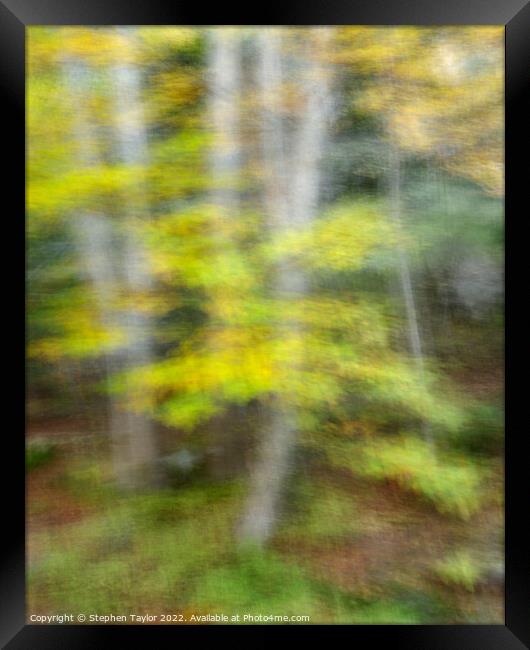 Autumn Motion Framed Print by Stephen Taylor