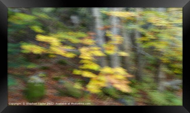 Autumn ICM Framed Print by Stephen Taylor