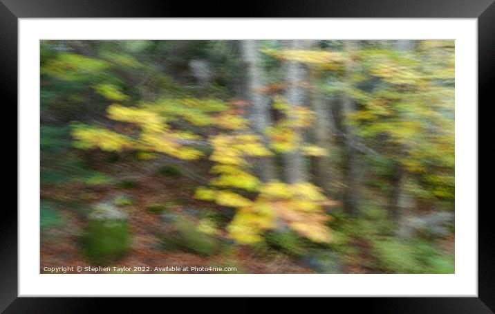 Autumn ICM Framed Mounted Print by Stephen Taylor