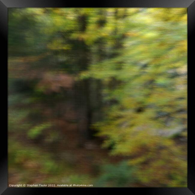 Woodland ICM  Framed Print by Stephen Taylor