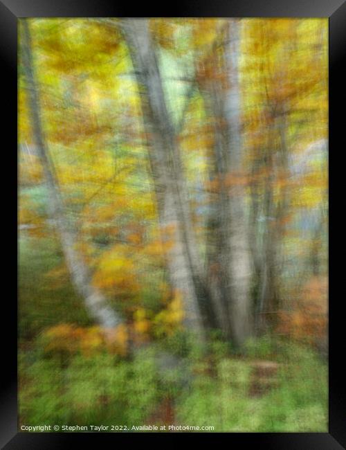 Autumn colours ICM  Framed Print by Stephen Taylor