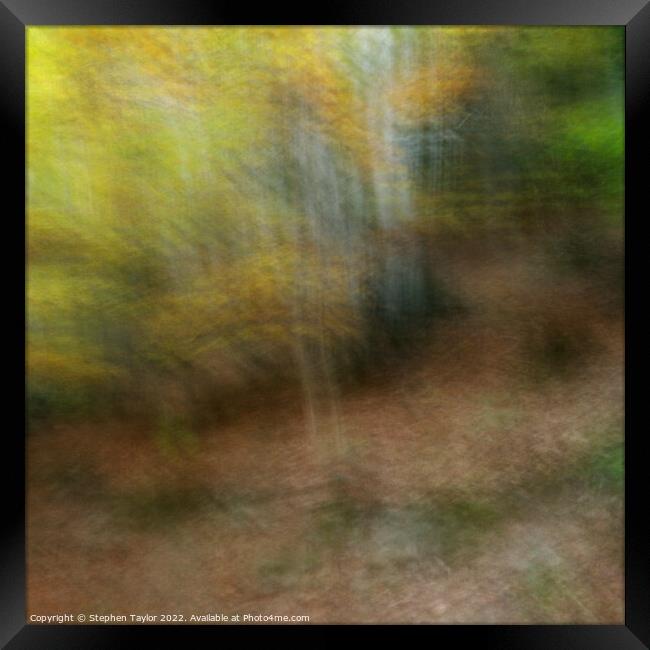 Autumn Motion Framed Print by Stephen Taylor