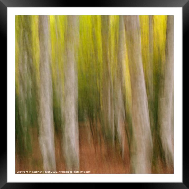 Valle de Ordesa Forest ICM Framed Mounted Print by Stephen Taylor