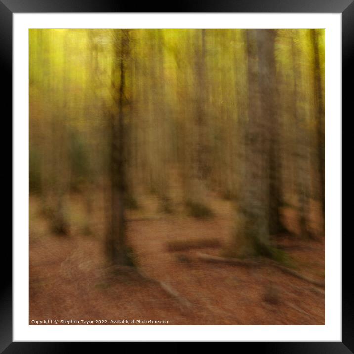 Valle de Ordesa Forest ICM Framed Mounted Print by Stephen Taylor