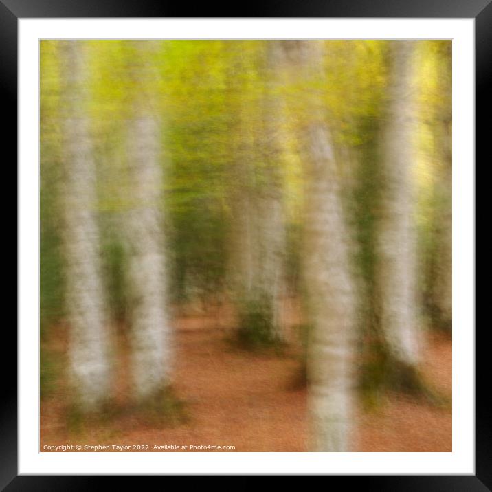 Valle de Ordesa Forest ICM Framed Mounted Print by Stephen Taylor