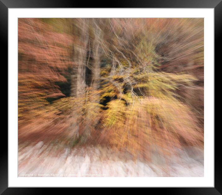 abstract autumn colours Framed Mounted Print by Stephen Taylor