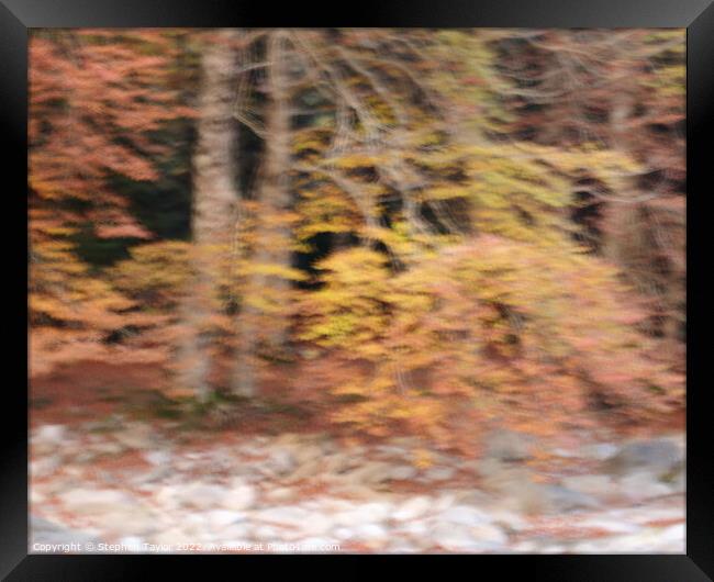 Autumn Colours ICM Framed Print by Stephen Taylor