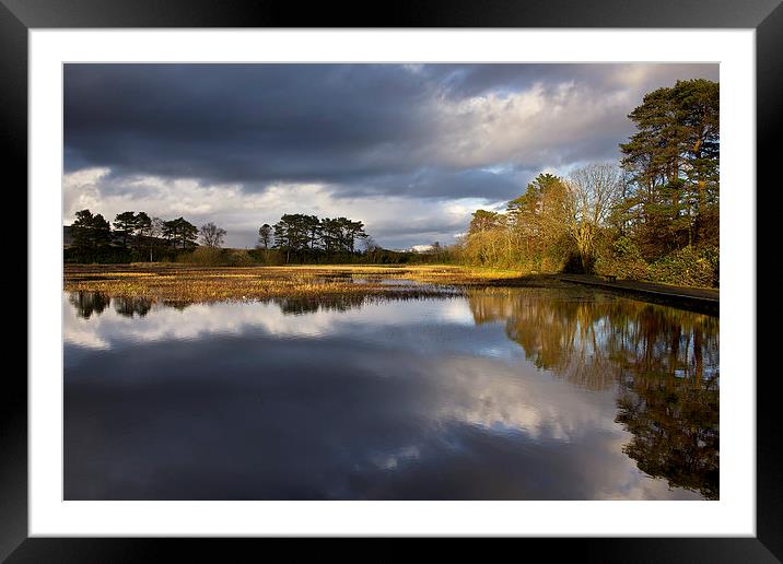 Helensburgh Duck Pond Framed Mounted Print by Stephen Taylor