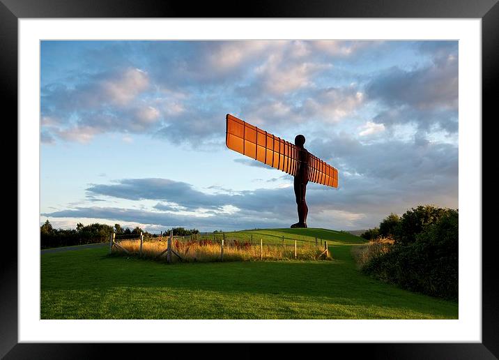 The Angel of the North Framed Mounted Print by Stephen Taylor