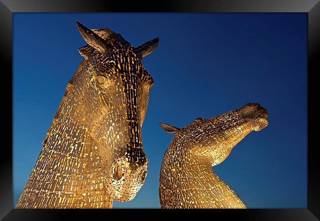  Kelpies at night Framed Print by Stephen Taylor
