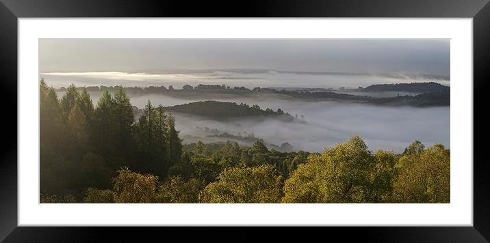  Autumn mist in the Trossacha Framed Mounted Print by Stephen Taylor