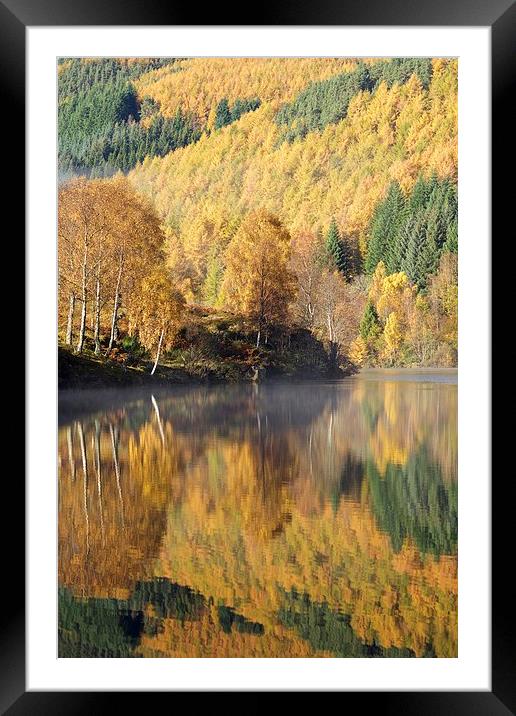  Autumn colours on Loch Tummel Framed Mounted Print by Stephen Taylor