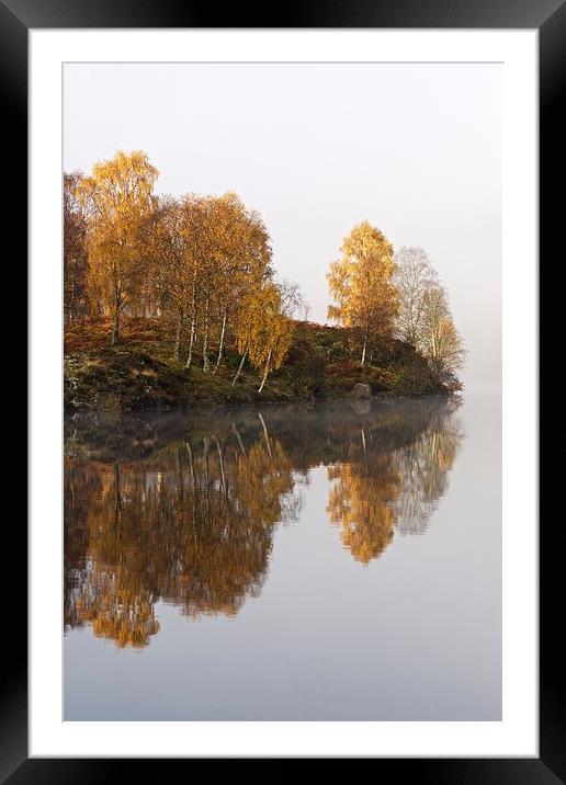  Autumn colours and golden light Framed Mounted Print by Stephen Taylor