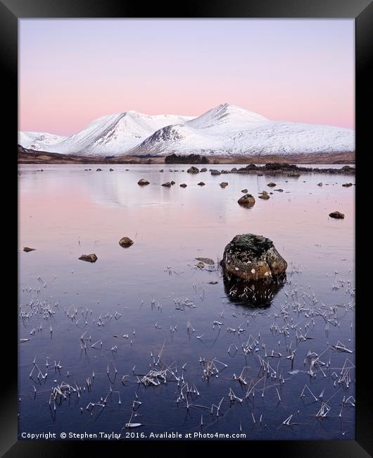 Pinky Dawn Framed Print by Stephen Taylor