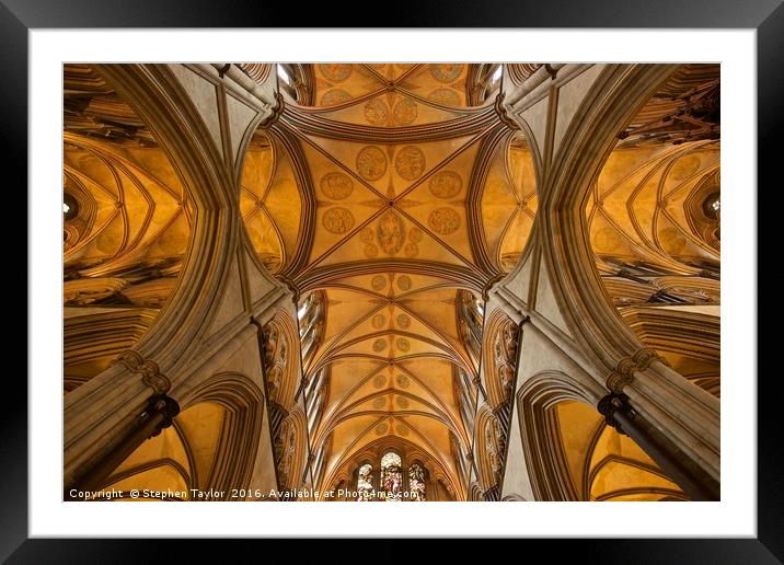 The roof of Salisbury Cathedral Framed Mounted Print by Stephen Taylor