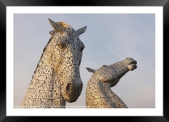 The Kelpies Framed Mounted Print by Stephen Taylor