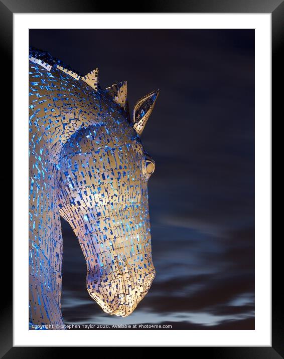 A Kelpie Framed Mounted Print by Stephen Taylor