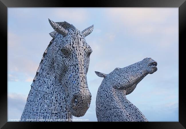 The Kelpies at dawn Framed Print by Stephen Taylor
