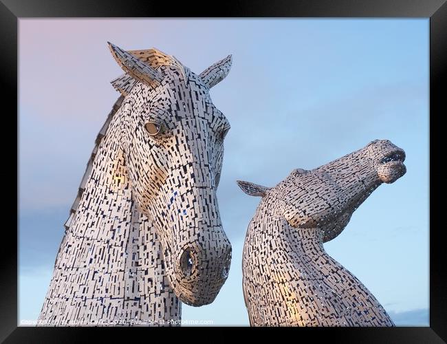 The Kelpies at sunset Framed Print by Stephen Taylor