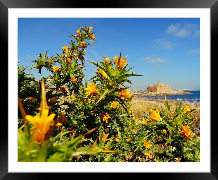 Paphos Fort Cyprus Framed Mounted Print by Andy Smith