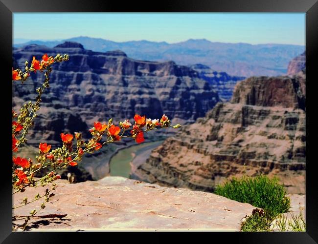  Grand Canyon Guano Point West Rim Framed Print by Andy Smith