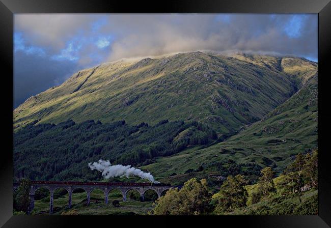 Harry Potter Train Glenfinnan Viaduct Framed Print by Andy Smith