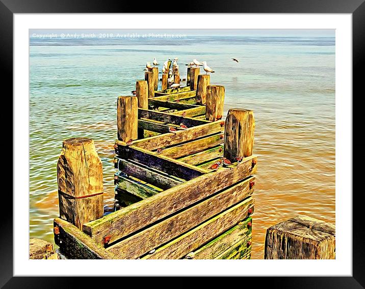 Sea defence Groynes at Walcott Norfolk           Framed Mounted Print by Andy Smith