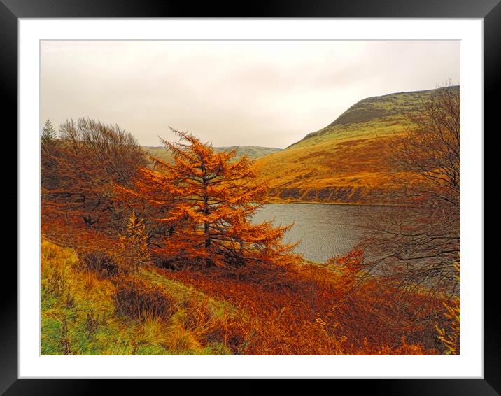 Majestic Autumn Colours Framed Mounted Print by Andy Smith