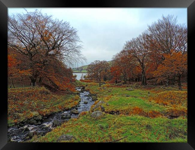 Dovestones autumn colours Framed Print by Andy Smith