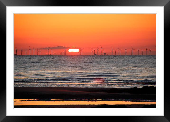 Ecology Sunset Framed Mounted Print by Susey Phoenixx