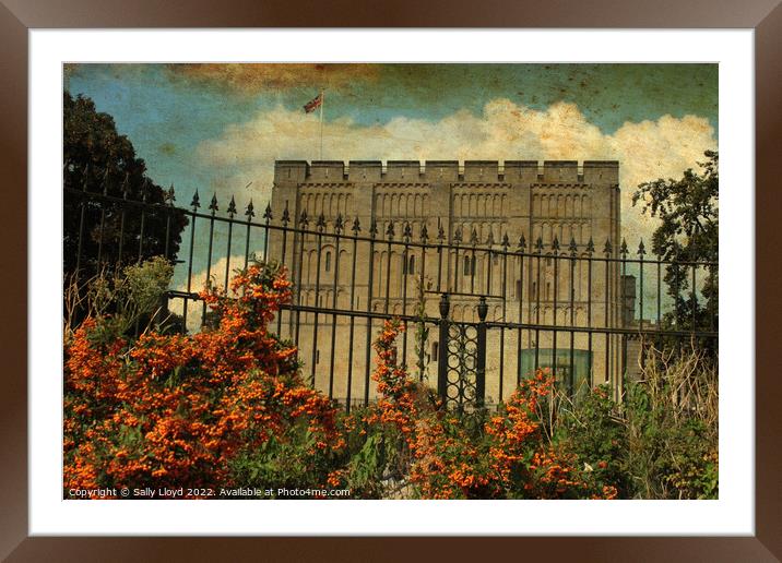 Norwich Castle - Vintage style autumn view.  Framed Mounted Print by Sally Lloyd
