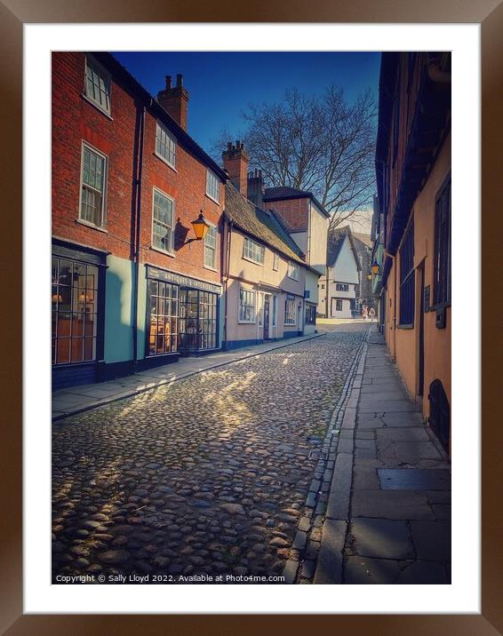 Elm Hill in April  Framed Mounted Print by Sally Lloyd