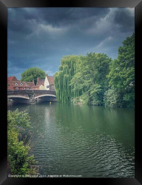 Willows by Fye Bridge, Norwich Framed Print by Sally Lloyd