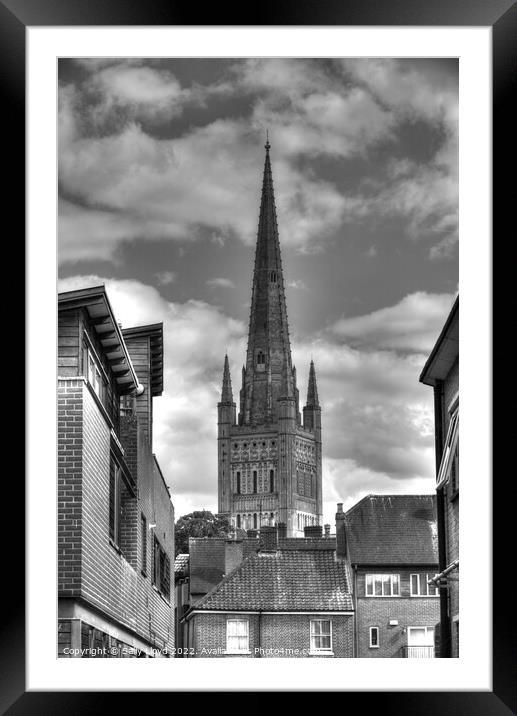 Norwich Cathedral Spire in black and white Framed Mounted Print by Sally Lloyd