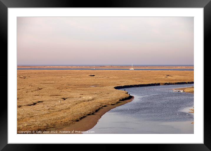 Blakeney view across the marshes  Framed Mounted Print by Sally Lloyd