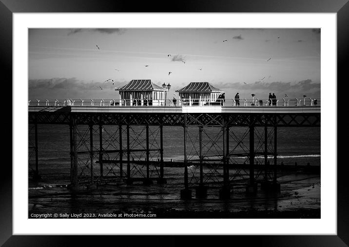 Cromer Pier a moody mono view  Framed Mounted Print by Sally Lloyd