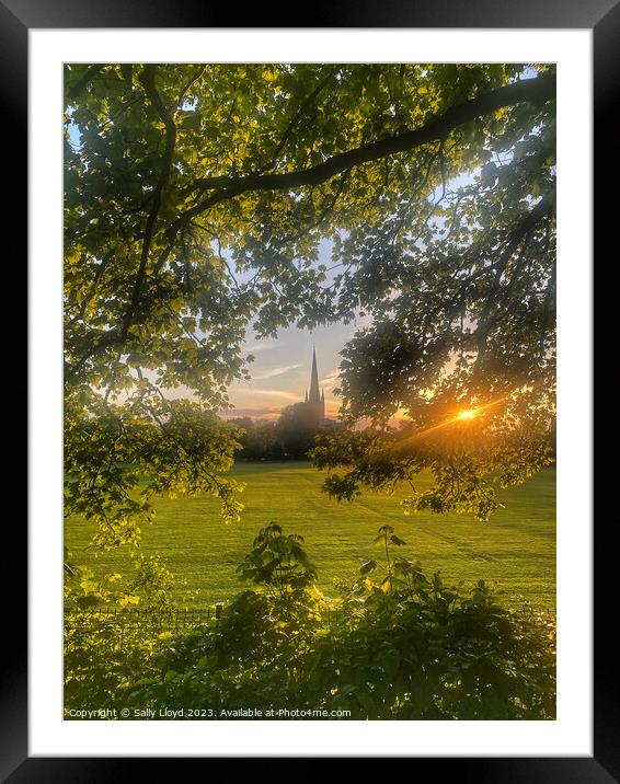 Norwich Cathedral Golden Sunset Framed Mounted Print by Sally Lloyd