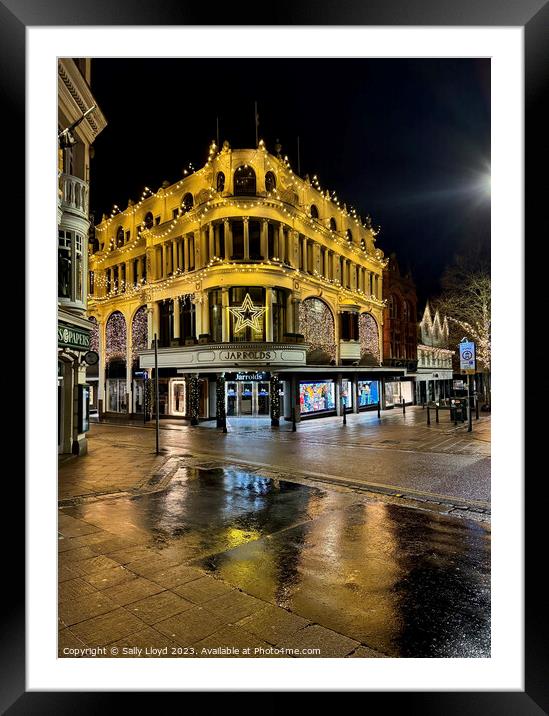 Jarrolds Department Store at Christmas, Norwich Framed Mounted Print by Sally Lloyd