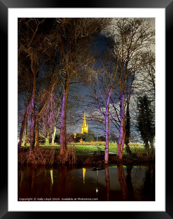 Norwich Cathedral at night through lilac trees Framed Mounted Print by Sally Lloyd