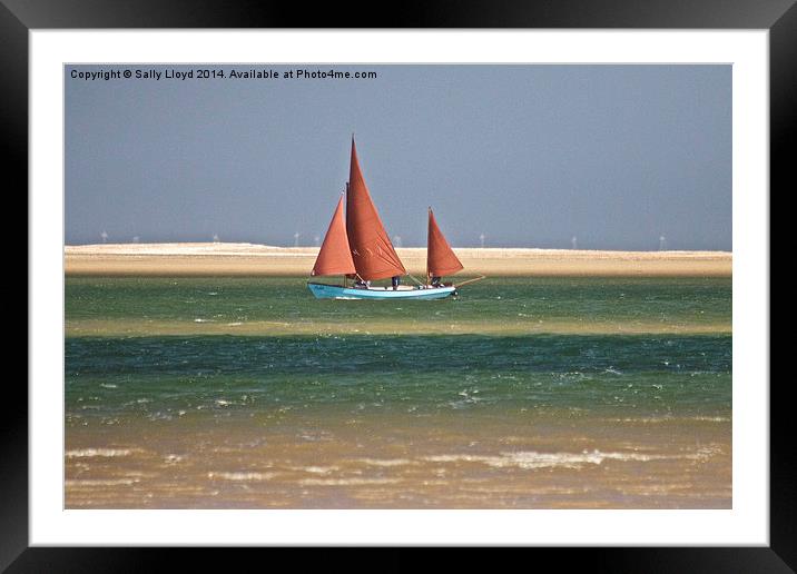 Brown Sail Boat Framed Mounted Print by Sally Lloyd