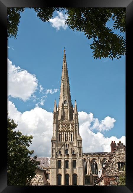 Norwich Cathedral Framed Print by Sally Lloyd