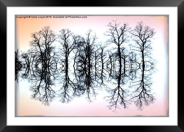  Symmetrical Trees  Framed Mounted Print by Sally Lloyd